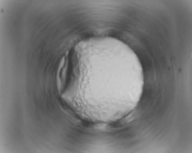 X0000060750090200512081954