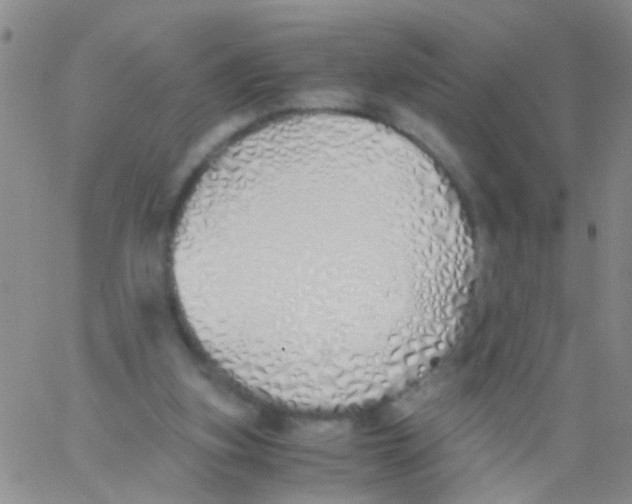 X0000060750155200512081952