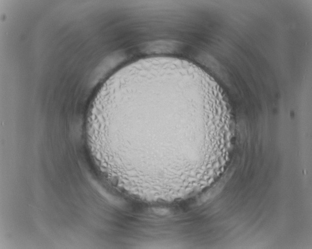 X0000060750159200512081952