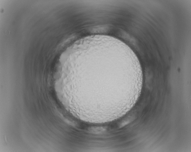 X0000060750161200512081952