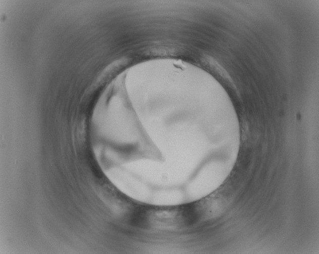 X0000060750163200512081952
