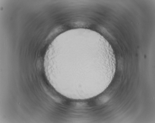 X0000060750165200512081952