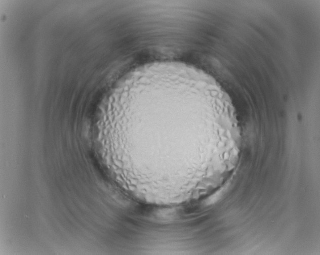 X0000060750178200512081952