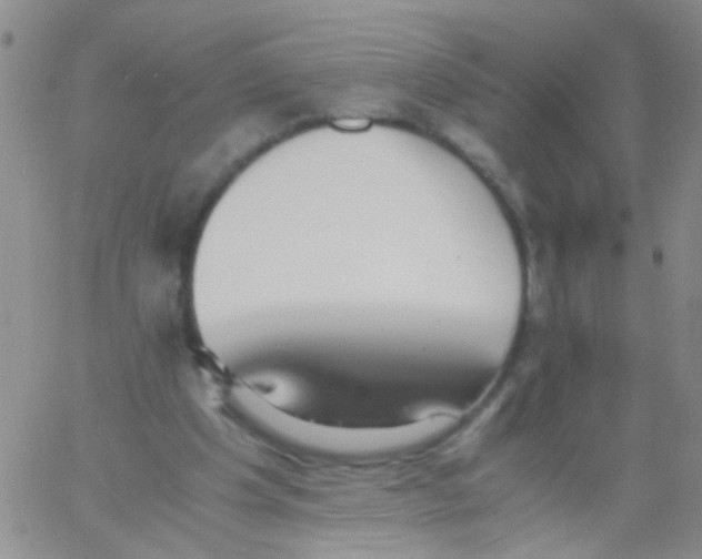 X0000060750201200512081951