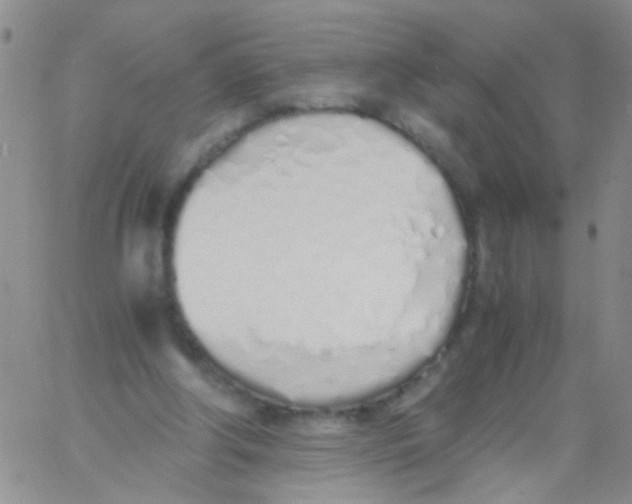 X0000060750202200512081951