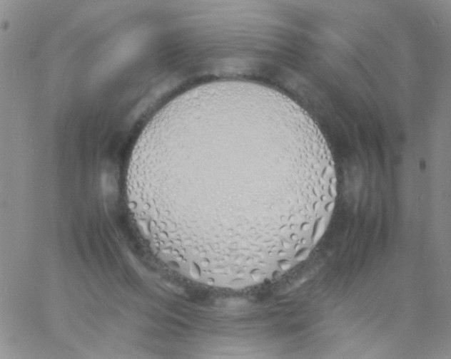 X0000060750208200512081951