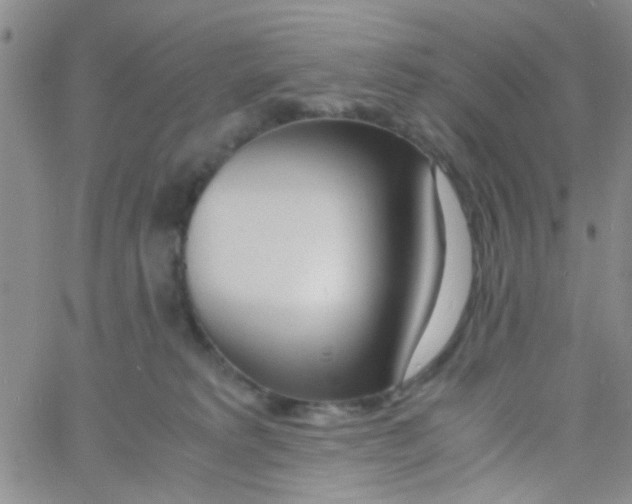 X0000060750229200512081951