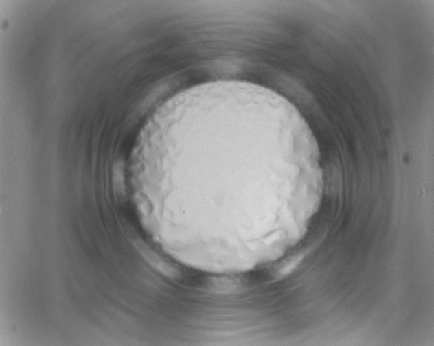 X0000060750238200512081951