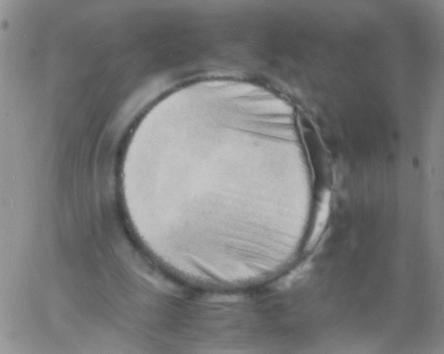 X0000060750247200512081950