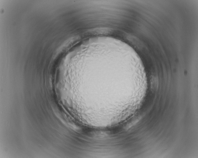 X0000060750254200512081950