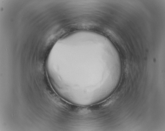X0000060750258200512081950