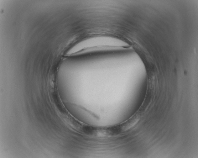 X0000060750264200512081950