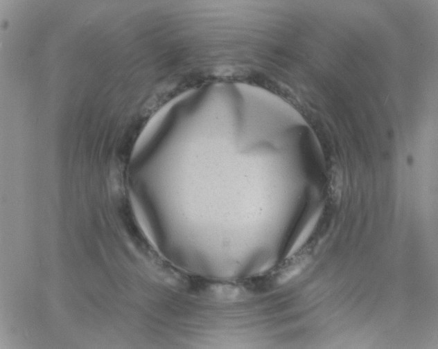 X0000060750272200512081950