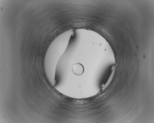 X0000060750277200512081951