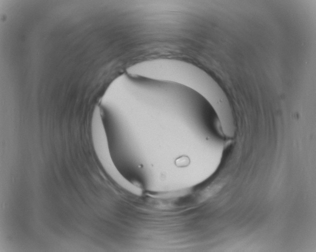 X0000060750288200512081951