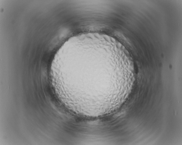X0000060750306200512081950