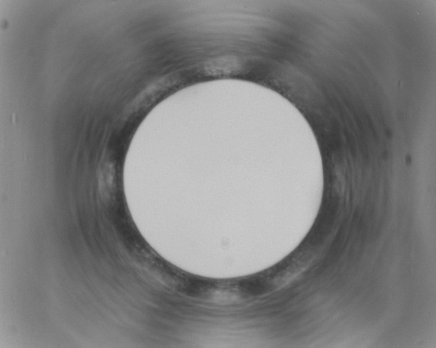 X0000060750308200512081950