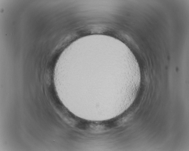 X0000060750311200512081950