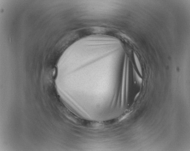X0000060750325200512081949