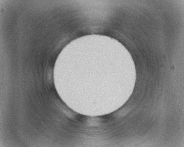 X0000060750336200512081949