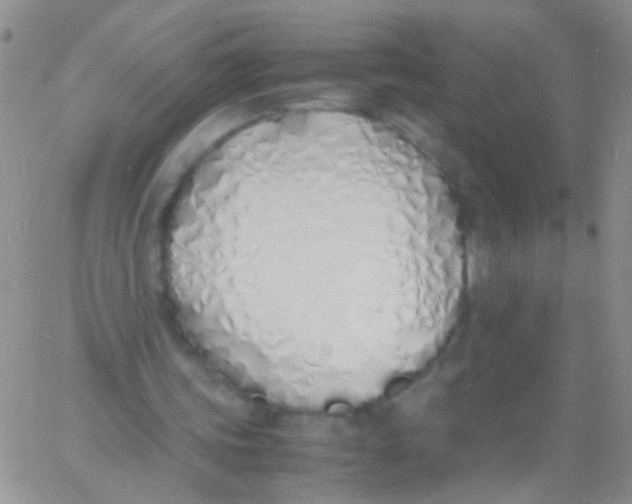 X0000060750339200512081948