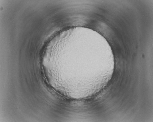X0000060750354200512081949