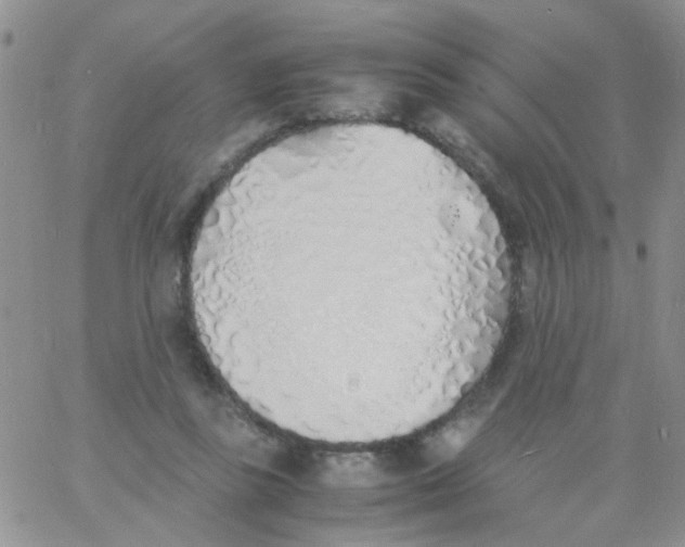 X0000060750355200512081949