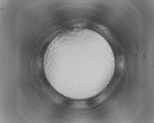 X0000060750363200512081949