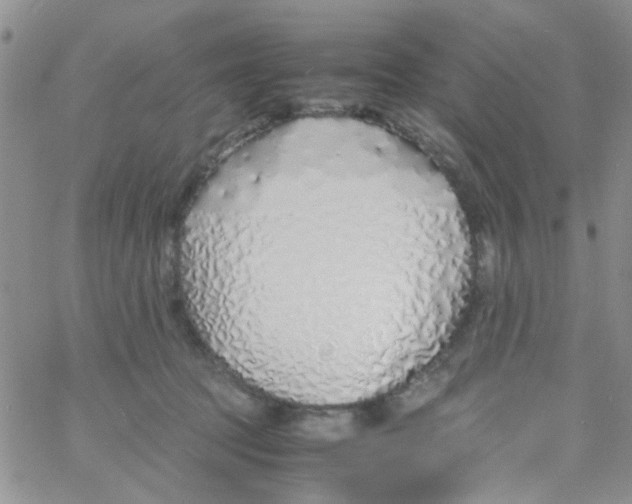 X0000060750369200512081949