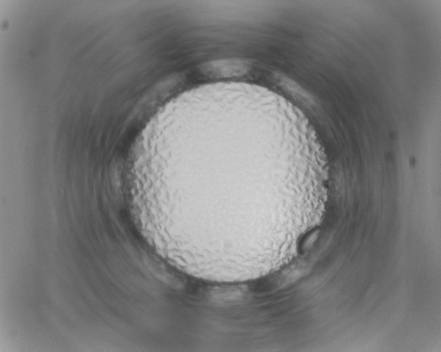 X0000060750373200512081949