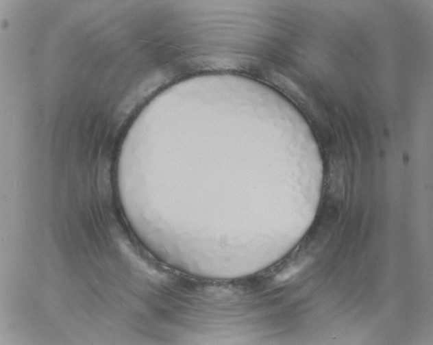 X0000060750394200512081948