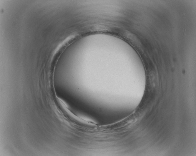 X0000060750395200512081948
