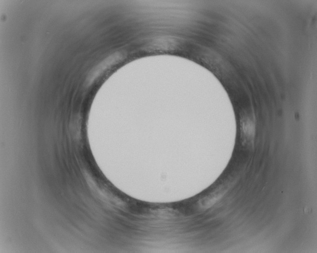 X0000060750396200512081948