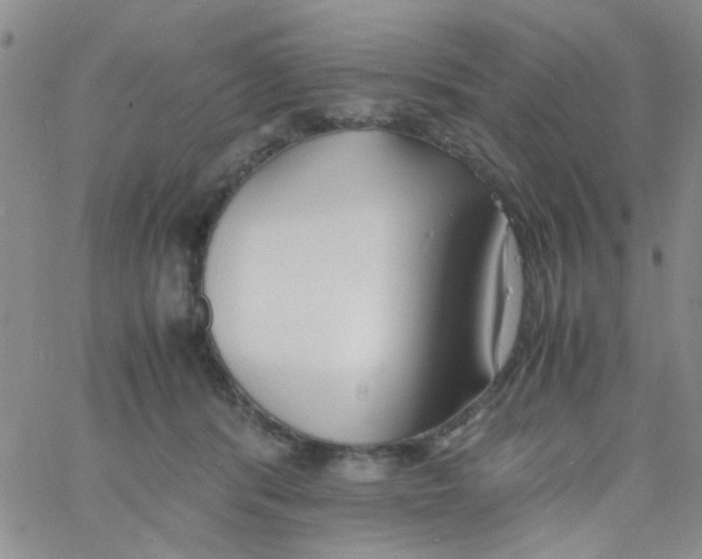 X0000060750416200512081948