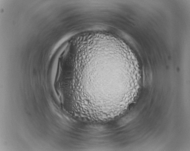 X0000060750435200512081947