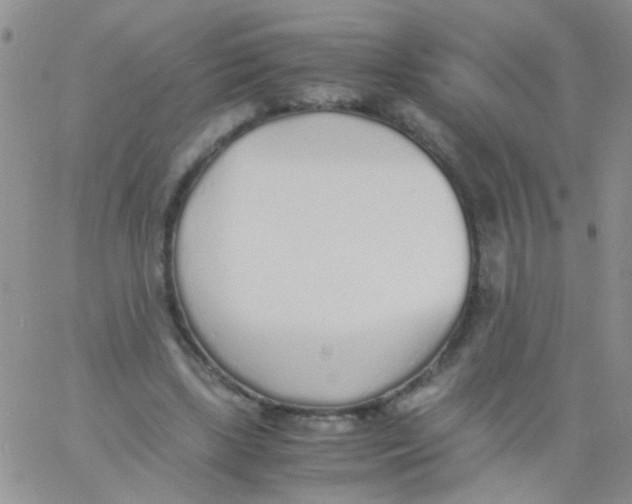 X0000060750443200512081947