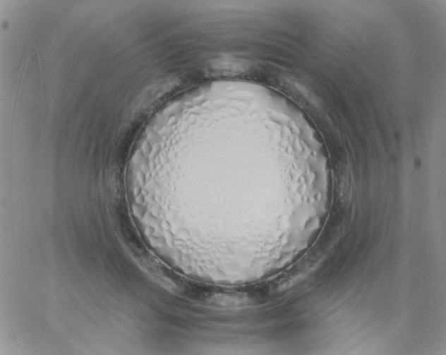 X0000060750455200512081947