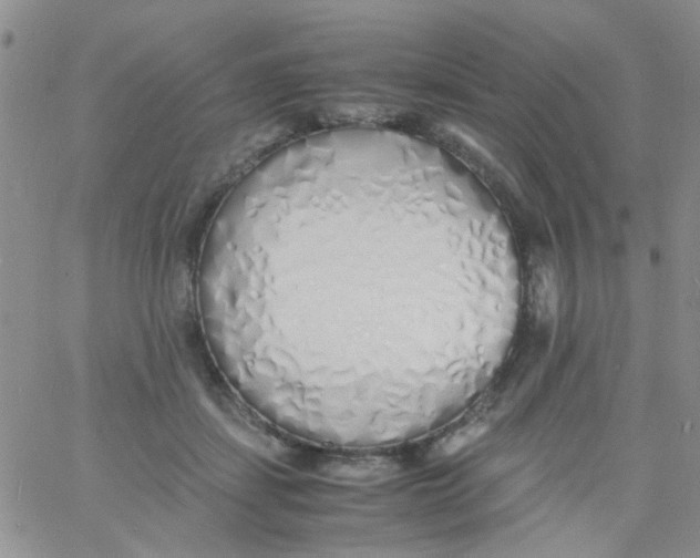 X0000060750459200512081947