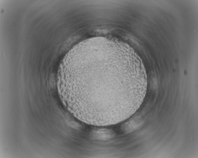 X0000060750467200512081947