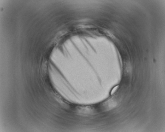 X0000060750475200512081947