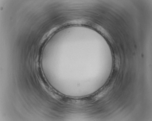 X0000060750486200512081947
