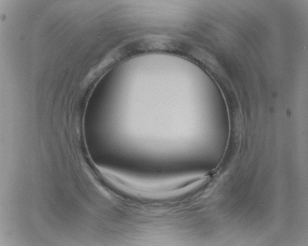 X0000060750489200512081947