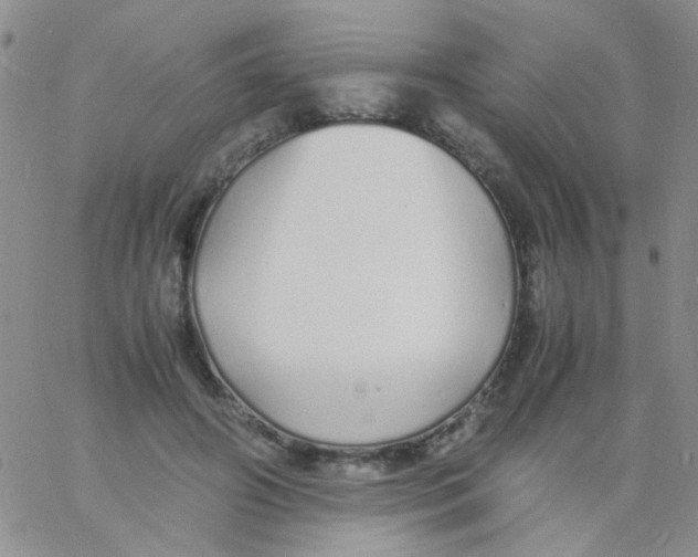 X0000060750498200512081947