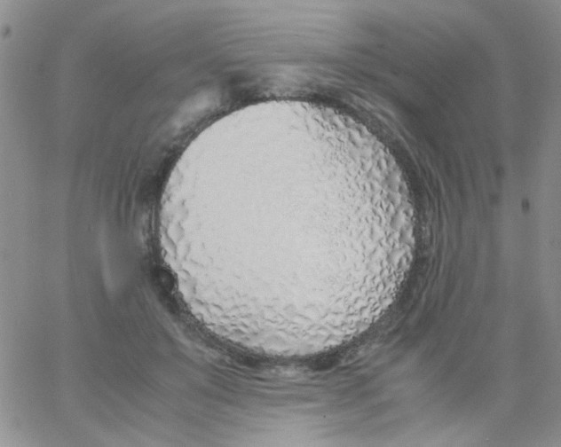 X0000060750503200512081946