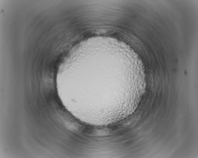 X0000060750510200512081946