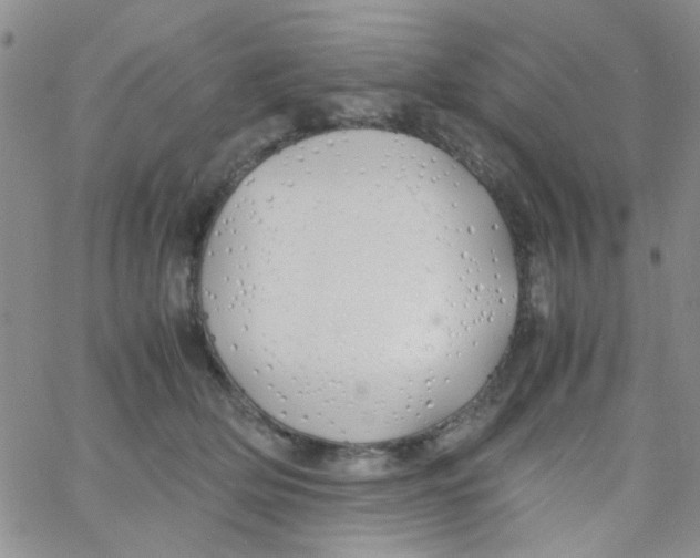 X0000060750514200512081946