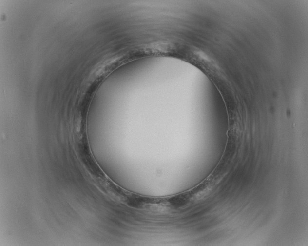 X0000060750548200512081946
