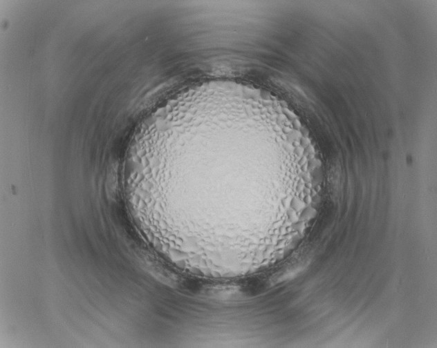 X0000060750554200512081946