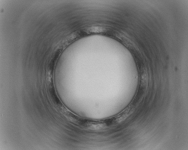 X0000060750555200512081946