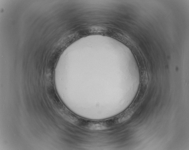 X0000060750557200512081946